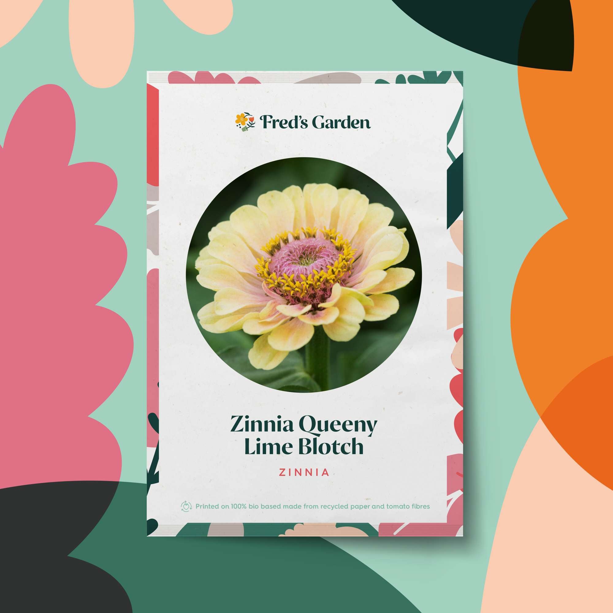 Zinnia 'Queen Lime Blush' (frö)